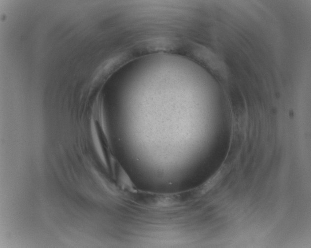 X0000074290070200609081902