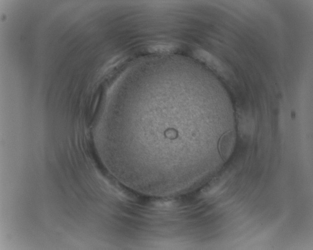 X0000074290071200609081902