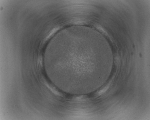 X0000074290072200609081902