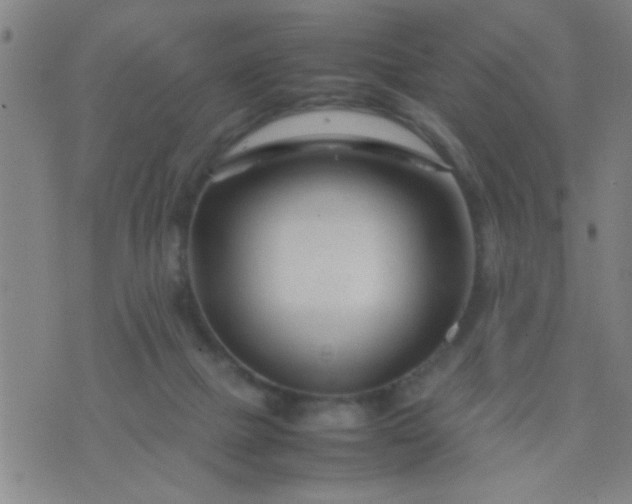 X0000074290073200609081902