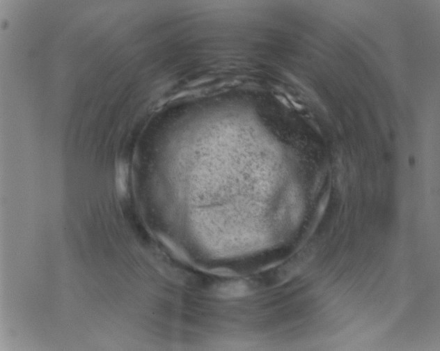 X0000074290075200609081902