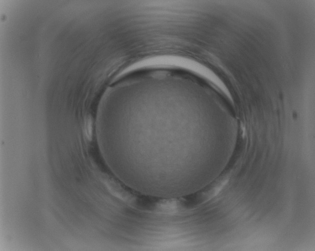 X0000074290076200609081902