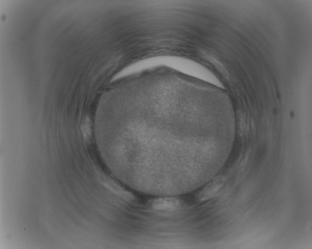 X0000074290077200609081902