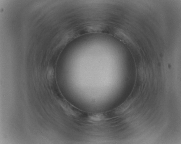 X0000074290079200609081902