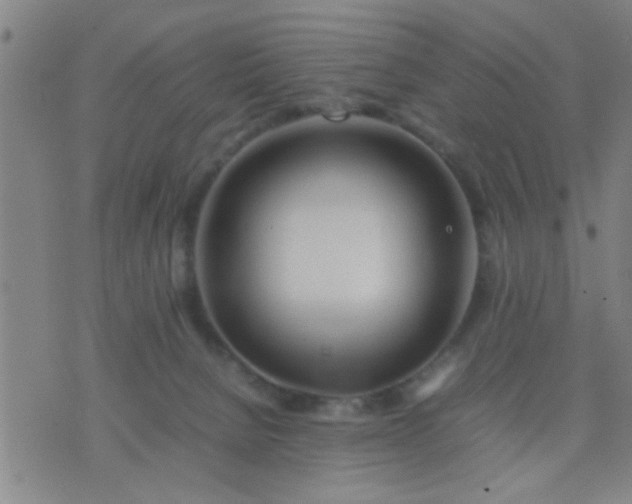 X0000074290080200609081902