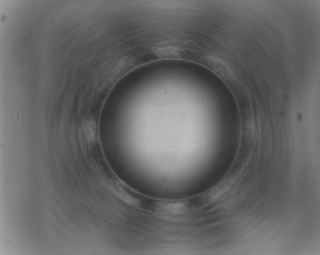 X0000074290081200609081902