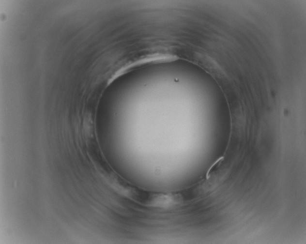 X0000074290083200609081903