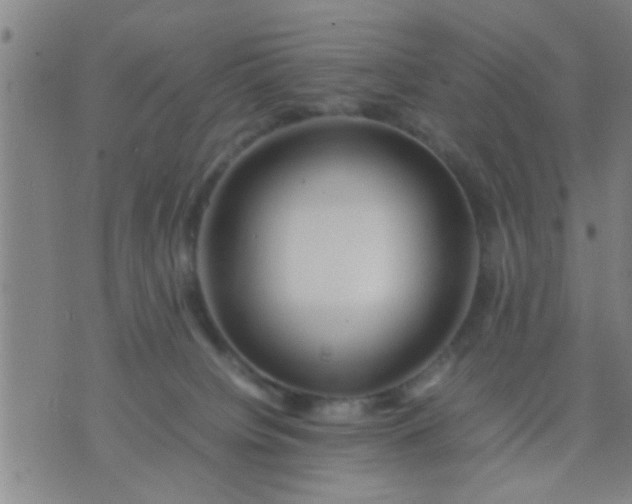 X0000074290084200609081903