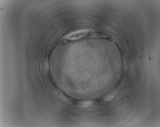 X0000074290085200609081903