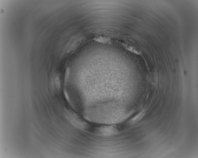 X0000074290086200609081903