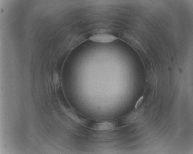 X0000074290087200609081903