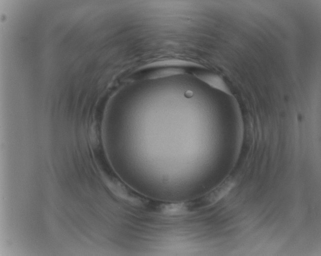 X0000074290088200609081903