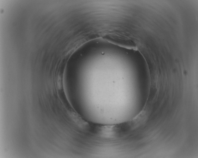 X0000074290090200609081903