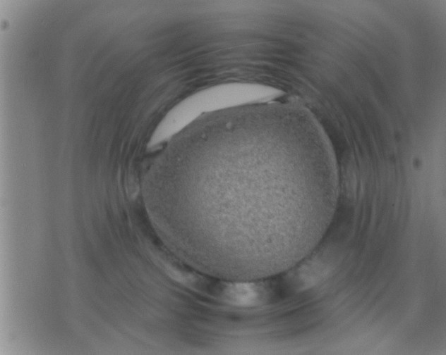 X0000074290091200609081903