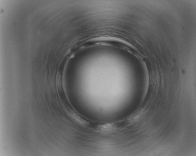 X0000074290092200609081903