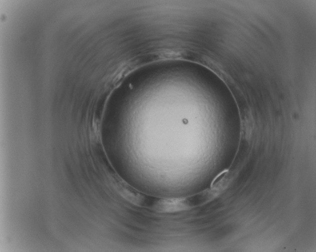 X0000074290093200609081903