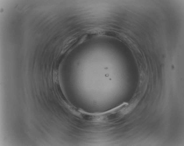 X0000074290096200609081903