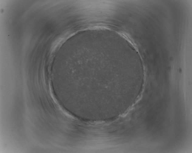 X0000074290097200609081902