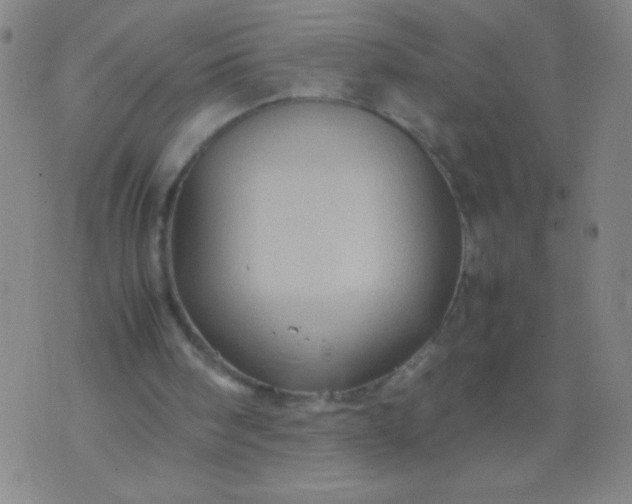 X0000074290098200609081902