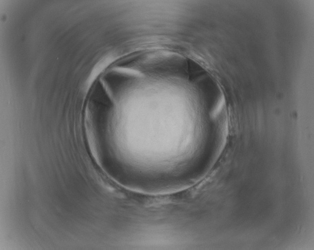 X0000074290099200609081902