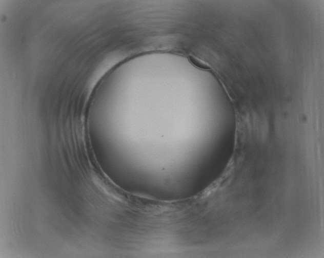 X0000074290100200609081902