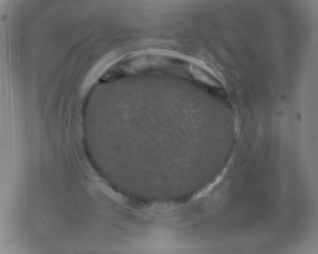 X0000074290101200609081902