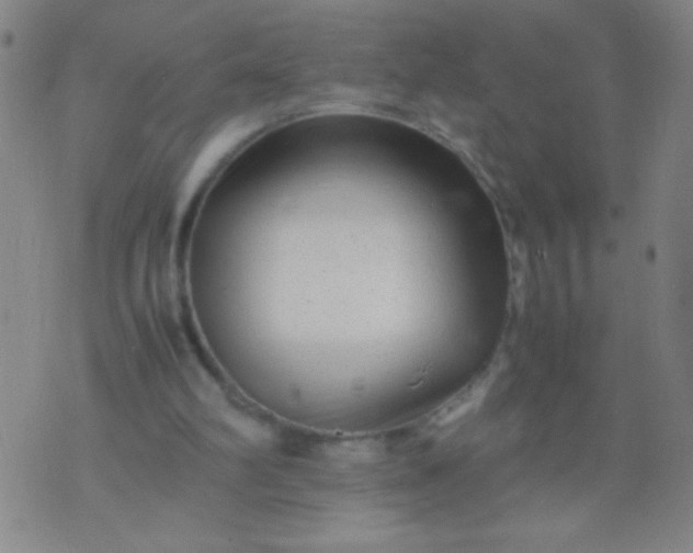 X0000074290102200609081902