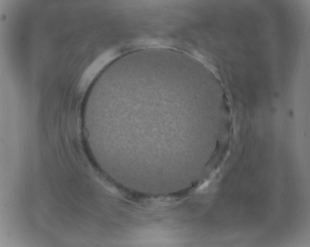 X0000074290103200609081902