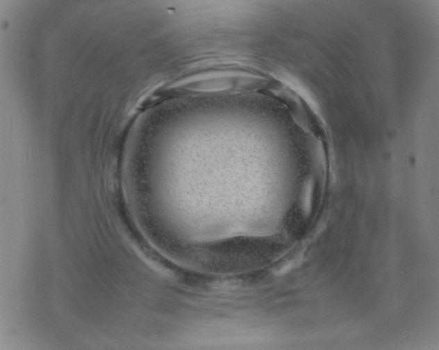 X0000074290105200609081902