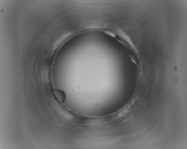 X0000074290106200609081902