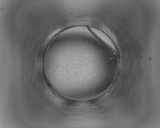 X0000074290107200609081902