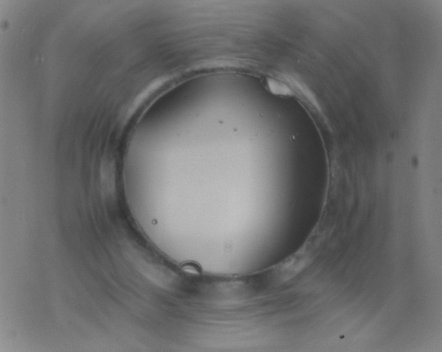 X0000074290108200609081902