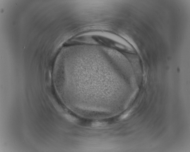 X0000074290109200609081902