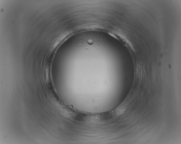 X0000074290110200609081902