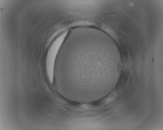 X0000074290111200609081902