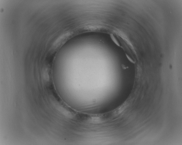 X0000074290114200609081902