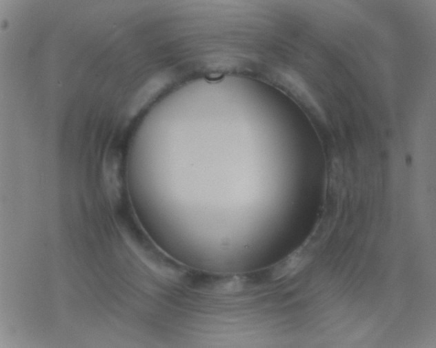 X0000074290116200609081902