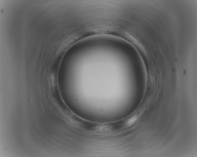 X0000074290117200609081902