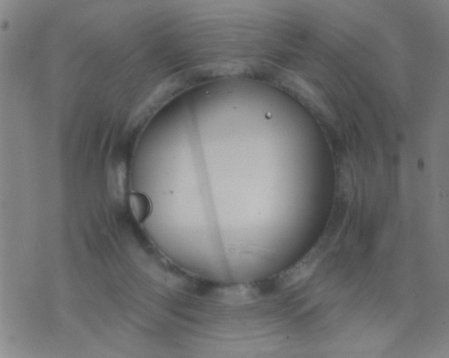 X0000074290118200609081902