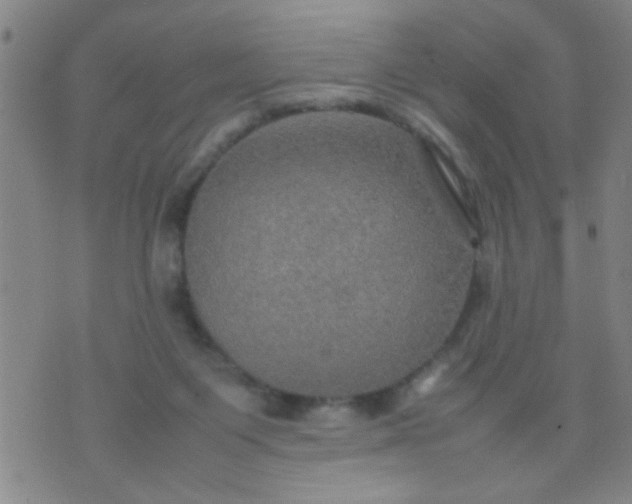 X0000074290119200609081902