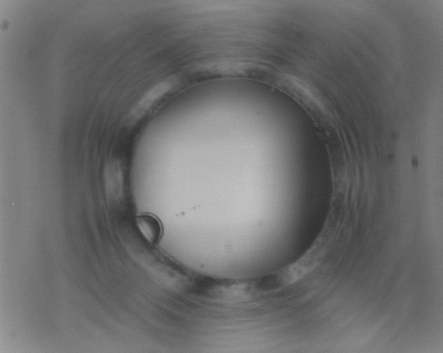 X0000074290120200609081902