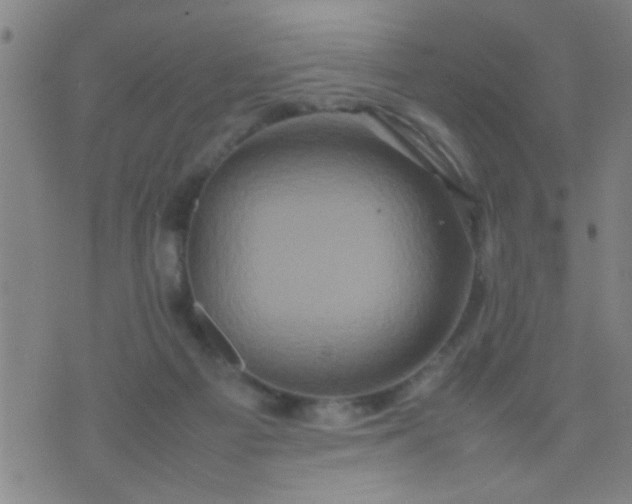 X0000074290121200609081902