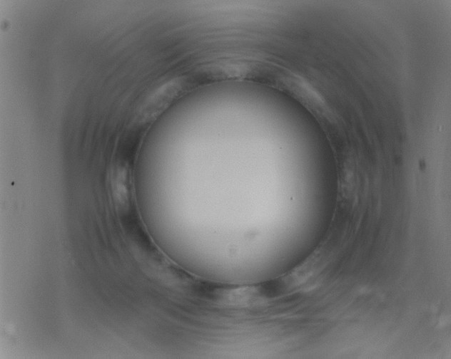 X0000074290122200609081902