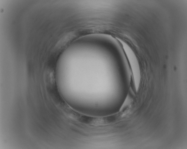 X0000074290123200609081902