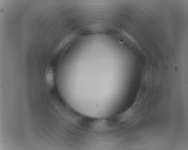 X0000074290124200609081902