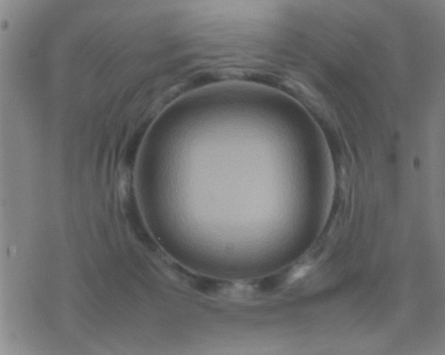 X0000074290125200609081902