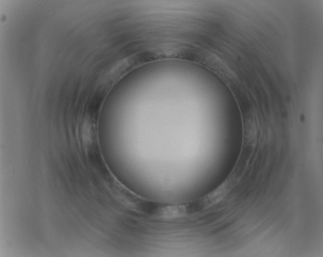 X0000074290126200609081901