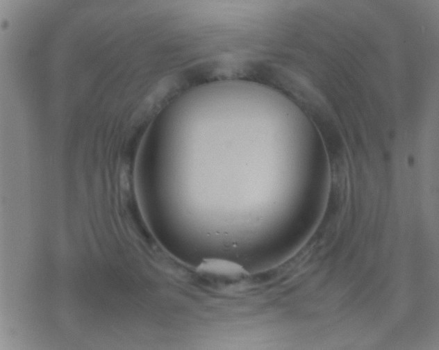 X0000074290127200609081901