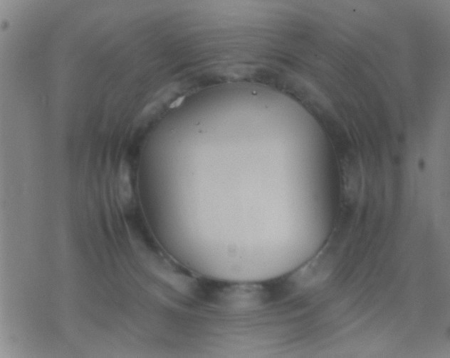 X0000074290128200609081901