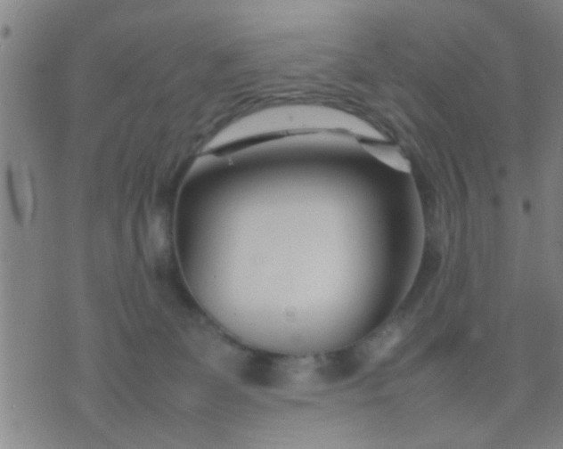 X0000074290131200609081901